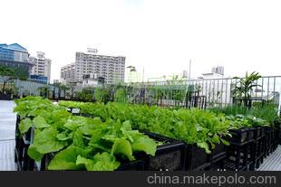從種花到種菜 城市園藝新風尚與樂栽樂哉的科技賦能